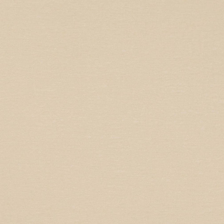 D4699 Pearl by Charlotte Fabric Luxe Velvet II 100% Polyester Asia Exceeds 120,000 Wyzenbeek Rubs (Heavy Duty) No Repeat 54 Inches - Fabric Carolina -