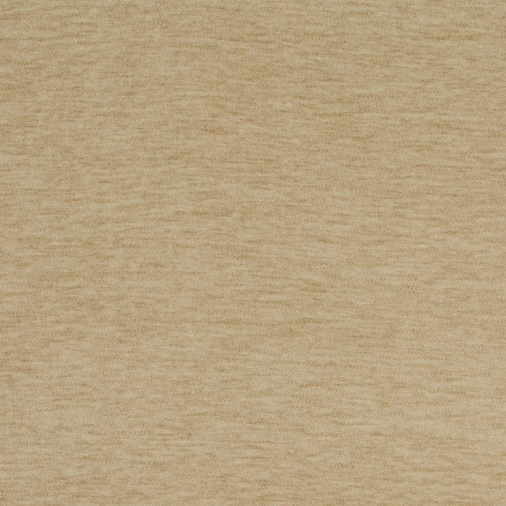 D4701 Champagne by Charlotte Fabric Luxe Velvet II 100% Polyester Asia Exceeds 120,000 Wyzenbeek Rubs (Heavy Duty) No Repeat 54 Inches - Fabric Carolina -