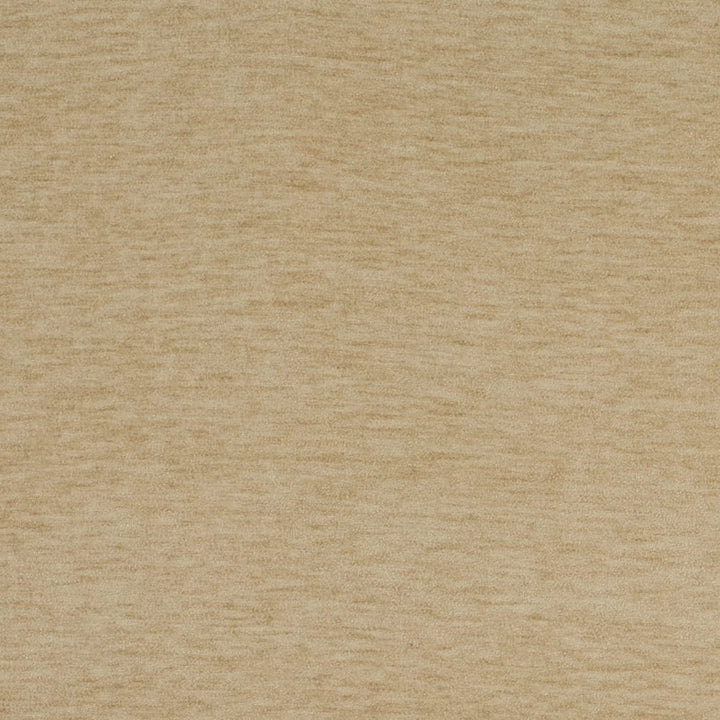 D4701 Champagne by Charlotte Fabric Luxe Velvet II 100% Polyester Asia Exceeds 120,000 Wyzenbeek Rubs (Heavy Duty) No Repeat 54 Inches - Fabric Carolina -