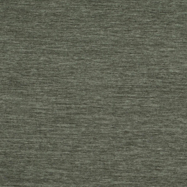 D4705 Pumice by Charlotte Fabric Luxe Velvet II 100% Polyester Asia Exceeds 120,000 Wyzenbeek Rubs (Heavy Duty) No Repeat 54 Inches - Fabric Carolina -