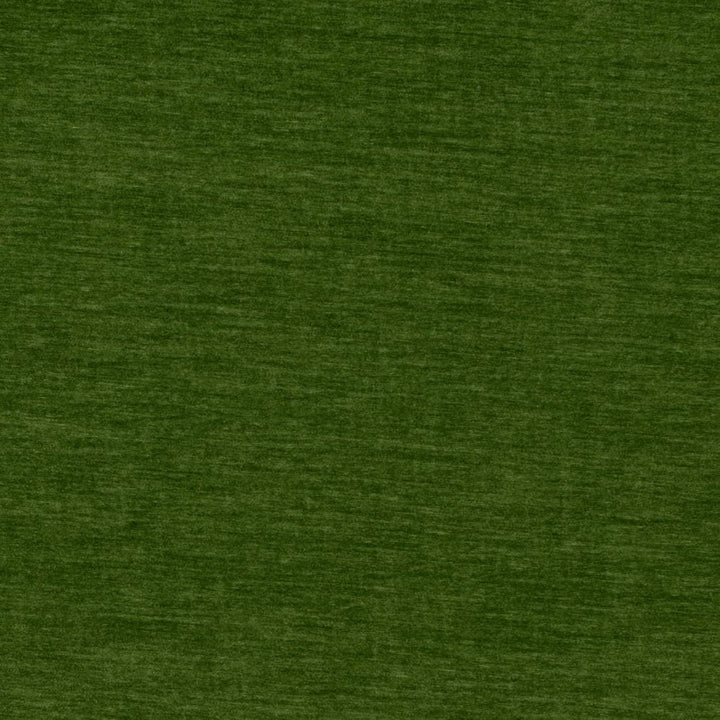 D4709 Grass by Charlotte Fabric Luxe Velvet II 100% Polyester Asia Exceeds 120,000 Wyzenbeek Rubs (Heavy Duty) No Repeat 54 Inches - Fabric Carolina -