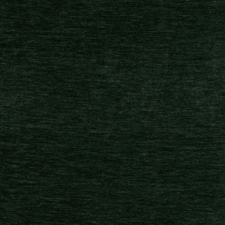D4711 Spruce by Charlotte Fabric Luxe Velvet II 100% Polyester Asia Exceeds 120,000 Wyzenbeek Rubs (Heavy Duty) No Repeat 54 Inches - Fabric Carolina -