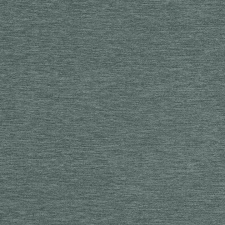 D4717 Harbor by Charlotte Fabric Luxe Velvet II 100% Polyester Asia Exceeds 120,000 Wyzenbeek Rubs (Heavy Duty) No Repeat 54 Inches - Fabric Carolina -