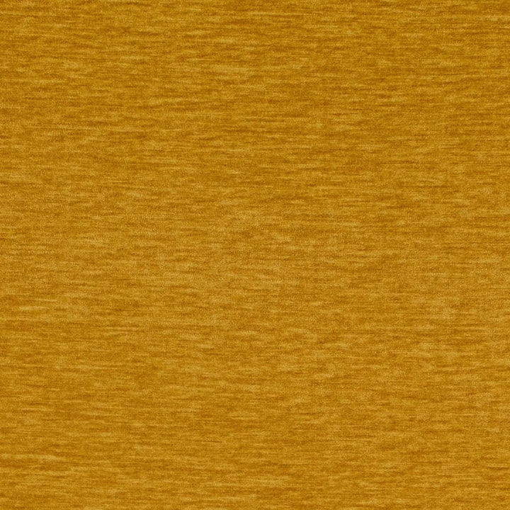 D4731 Saffron by Charlotte Fabric Luxe Velvet II 100% Polyester Asia Exceeds 120,000 Wyzenbeek Rubs (Heavy Duty) No Repeat 54 Inches - Fabric Carolina -