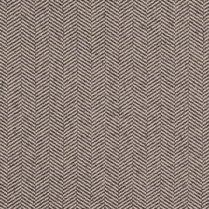 Value Modern Gunmetal D5008 by Charlotte Fabrics Fabric Charlotte Fabrics Fabric Value Modern 100% Polypropylene USA No Repeat 54"  - Fabric Carolina - 
