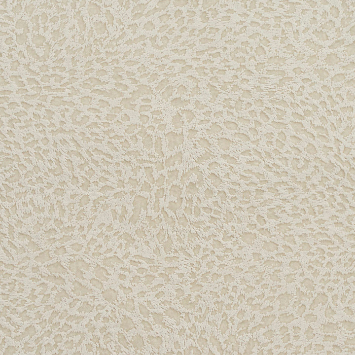 D522 Natural by Charlotte Fabric Microfibers II 100% Nylon Microfiber Made In USA Exceeds 200,000 Wyzenbeek Rubs (Heavy Duty) No Repeat 54 Inches - Fabric Carolina -