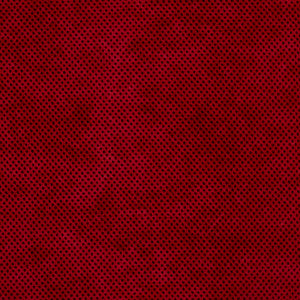 D529 Garnet Texture by Charlotte Fabric