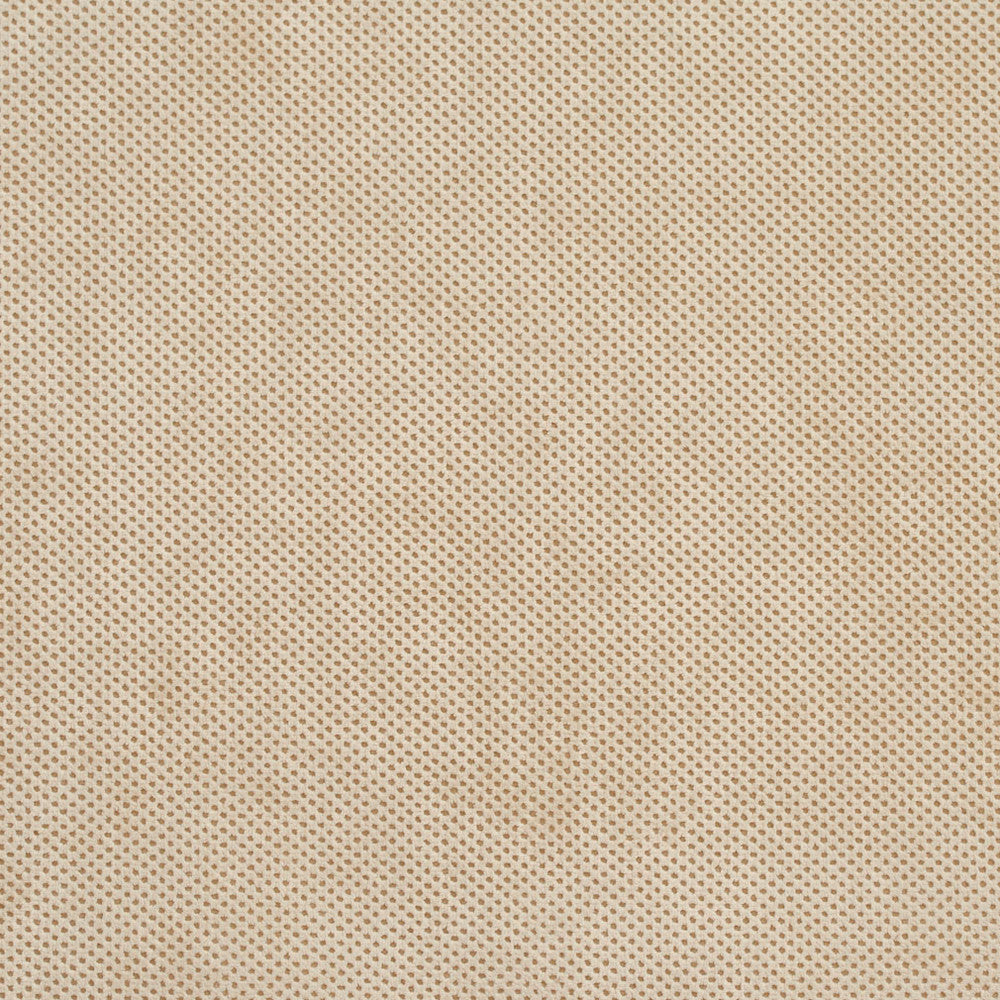 D532 Bisque Texture by Charlotte Fabric Microfibers II 100% Nylon Made In USA Exceeds 200,000 Wyzenbeek Rubs (Heavy Duty) </p><p>Repeat: 54 Inches - Fabric Carolina -