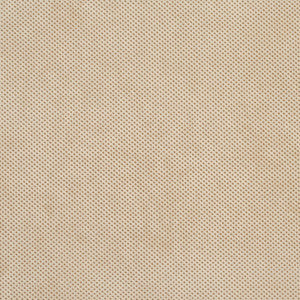 D532 Bisque Texture by Charlotte Fabric