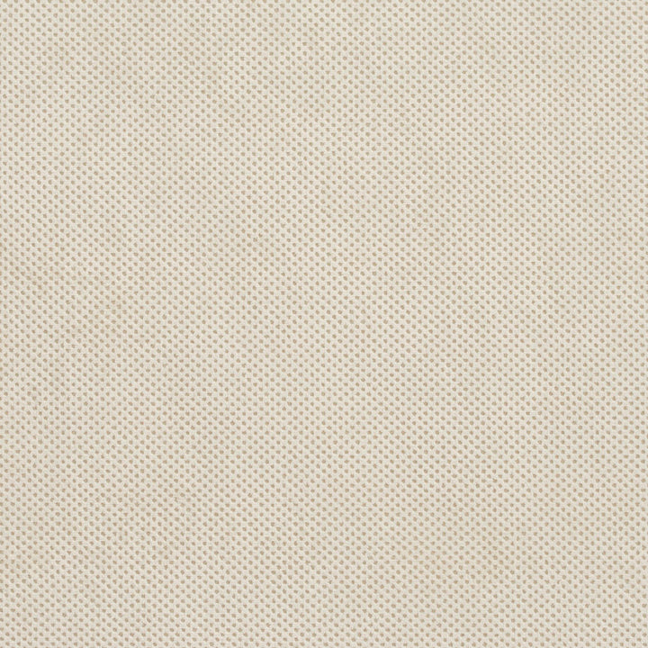 D534 Natural Texture by Charlotte Fabric Microfibers II 100% Nylon Microfiber Made In USA Exceeds 200,000 Wyzenbeek Rubs (Heavy Duty) No Repeat 54 Inches - Fabric Carolina -