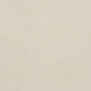 D534 Natural Texture by Charlotte Fabric