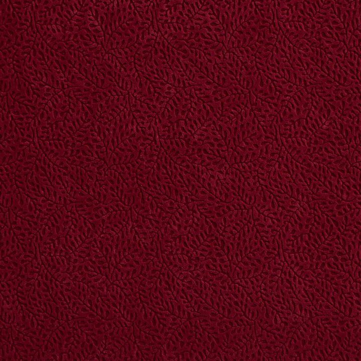 D549 Merlot Vine by Charlotte Fabric Microfibers II 100% Nylon Microfiber Made In USA Exceeds 200,000 Wyzenbeek Rubs (Heavy Duty) No Repeat 54 Inches - Fabric Carolina -