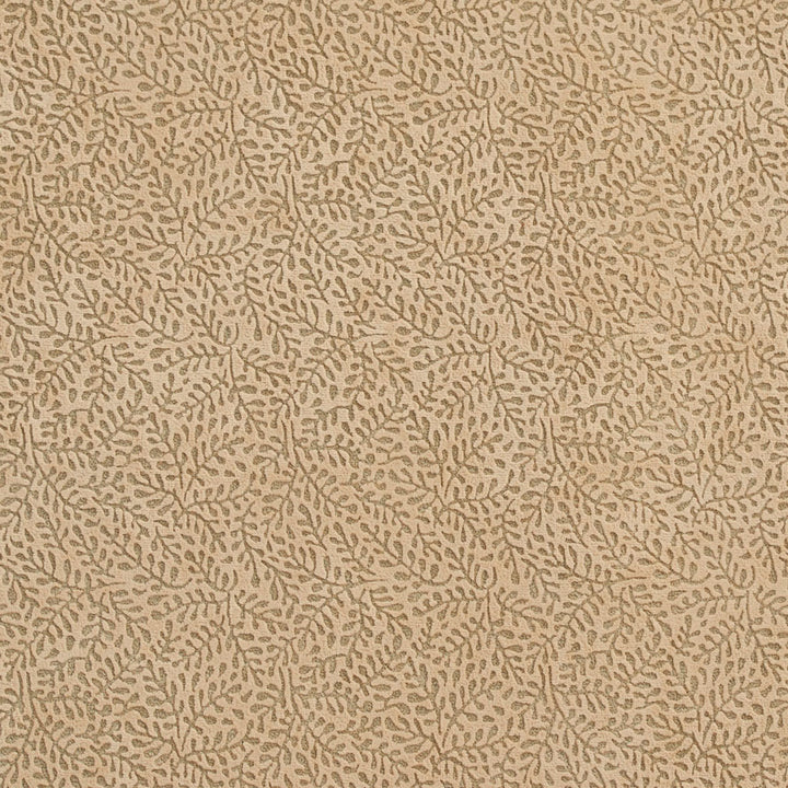 D551 Flax Vine by Charlotte Fabric Microfibers II 100% Nylon Microfiber Made In USA Exceeds 200,000 Wyzenbeek Rubs (Heavy Duty) No Repeat 54 Inches - Fabric Carolina -