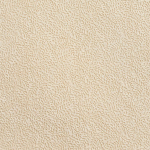 D558 Natural Vine by Charlotte Fabric