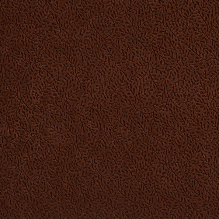 D559 Chocolate Vine by Charlotte Fabric Microfibers II 100% Nylon Made In USA Exceeds 200,000 Wyzenbeek Rubs (Heavy Duty) </p><p>Repeat: 54 Inches - Fabric Carolina -