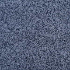 D560 Wedgewood Mosaic by Charlotte Fabric