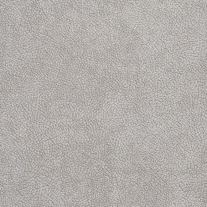 D566 Platinum Mosaic by Charlotte Fabric