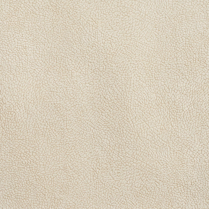 D570 Natural Mosaic by Charlotte Fabric Microfibers II 100% Nylon Microfiber Made In USA Exceeds 200,000 Wyzenbeek Rubs (Heavy Duty) No Repeat 54 Inches - Fabric Carolina -