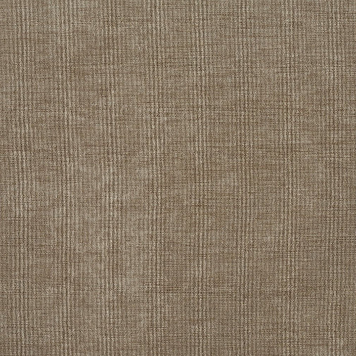 D600 Driftwood by Charlotte Fabric Automotive Fabric 100% Woven Polyester Asia Exceeds 130,000 Wyzenbeek Rubs (Heavy Duty) No Repeat 54 Inches - Fabric Carolina -