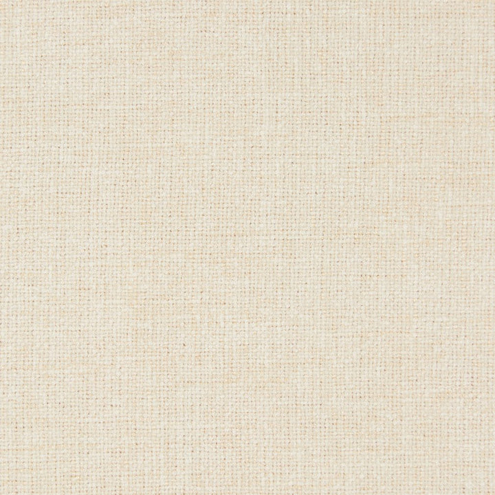 D689 Beach by Charlotte Designer Fabric Chenille Textures 82% Polyester, 18% Rayon Asia Exceeds 80,000 Wyzenbeek Rubs (Heavy Duty) No Repeat 54 Inches - Swanky Fabrics -