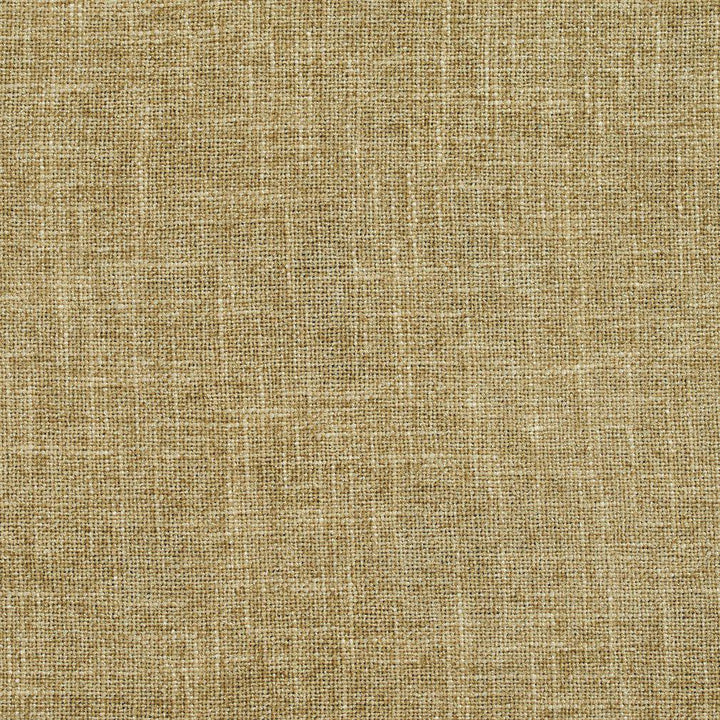 D697 Sage by Charlotte Designer Fabric Chenille Textures 82% Polyester, 18% Rayon Asia Exceeds 80,000 Wyzenbeek Rubs (Heavy Duty) No Repeat 54 Inches - Swanky Fabrics -