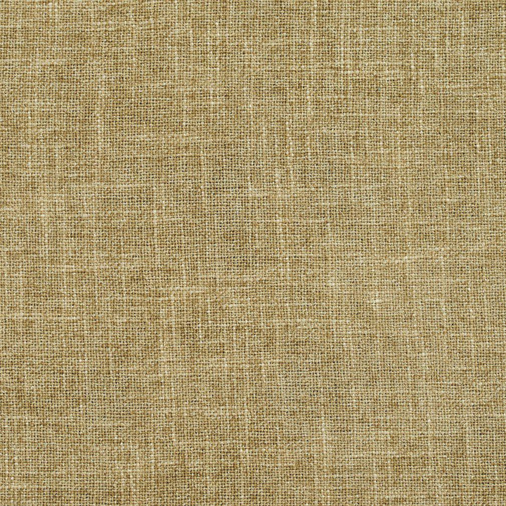 D697 Sage by Charlotte Fabric Chenille Textures 82% Polyester, 18% Rayon Asia Exceeds 80,000 Wyzenbeek Rubs (Heavy Duty) No Repeat 54 Inches - Fabric Carolina -