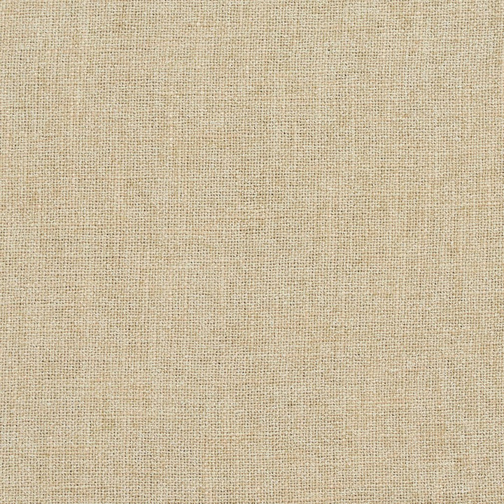 D706 Cornsilk by Charlotte Fabric Chenille Textures 82% Polyester, 18% Rayon Asia Exceeds 80,000 Wyzenbeek Rubs (Heavy Duty) No Repeat 54 Inches - Fabric Carolina -