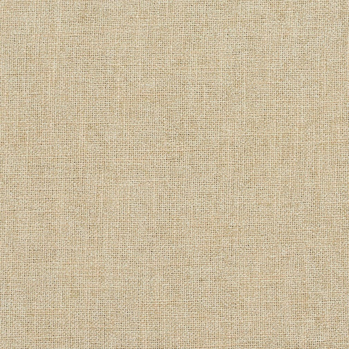 D706 Cornsilk by Charlotte Designer Fabric Chenille Textures 82% Polyester, 18% Rayon Asia Exceeds 80,000 Wyzenbeek Rubs (Heavy Duty) No Repeat 54 Inches - Swanky Fabrics -