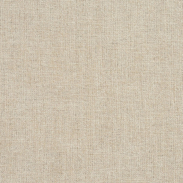 D709 Eggshell by Charlotte Fabric Chenille Textures 82% Polyester, 18% Rayon Asia Exceeds 80,000 Wyzenbeek Rubs (Heavy Duty) No Repeat 54 Inches - Fabric Carolina -