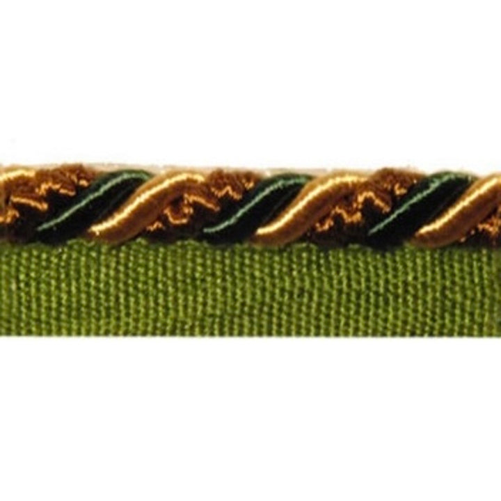 Cord 553 Irish Ivy by Europatex Fabric Cord 100% Polyester 0.38 inches - Fabric Carolina -