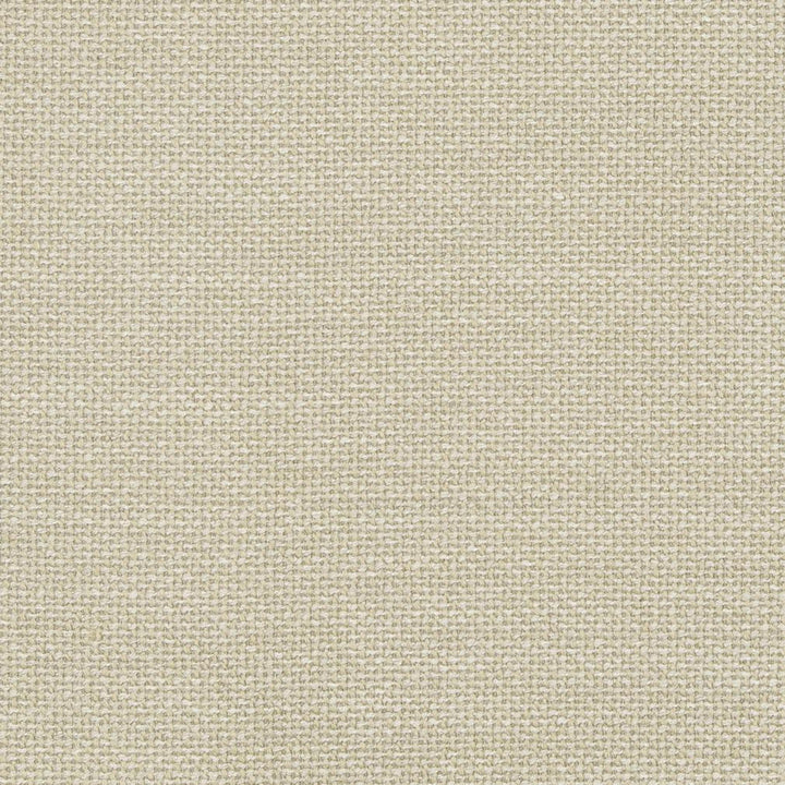 D825 Pumice by Charlotte Designer Fabric Contemporary Wovens II 100% Woven Polyester Asia Exceeds 40,000 Wyzenbeek Rubs (Heavy Duty) No Repeat 54 Inches - Swanky Fabrics -