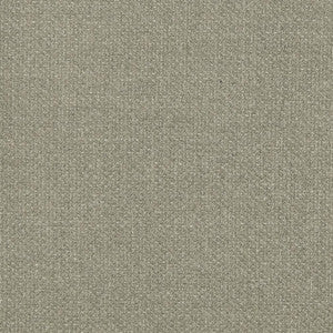 D827 Flannel by Charlotte Fabric