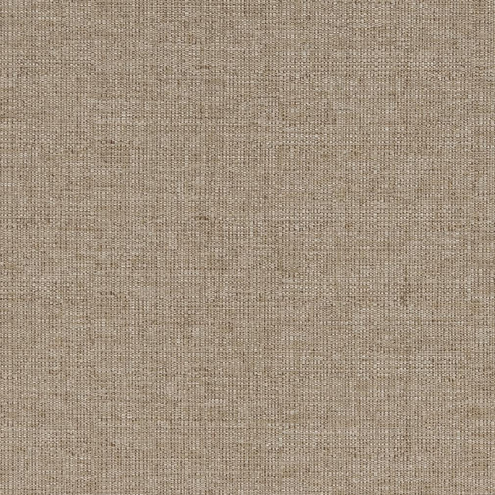 D833 Taupe by Charlotte Fabric Contemporary Wovens II 100% Woven Polyester Asia Exceeds 54,000 Wyzenbeek Rubs (Heavy Duty) </p><p>Repeat: No Repeat 54 Inches - Fabric Carolina -