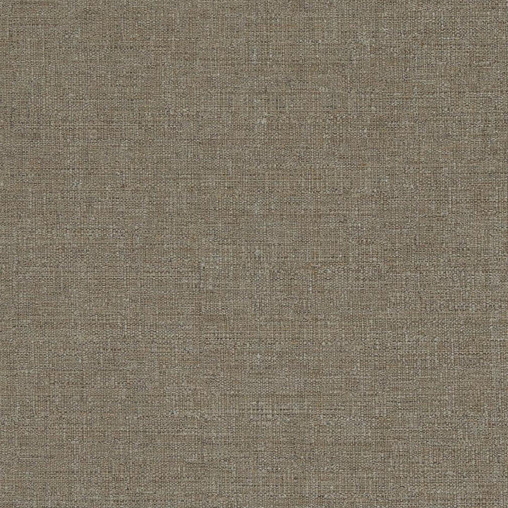 D836 Bark by Charlotte Fabric Contemporary Wovens II 100% Woven Polyester Asia Exceeds 54,000 Wyzenbeek Rubs (Heavy Duty) No Repeat 54 Inches - Fabric Carolina -
