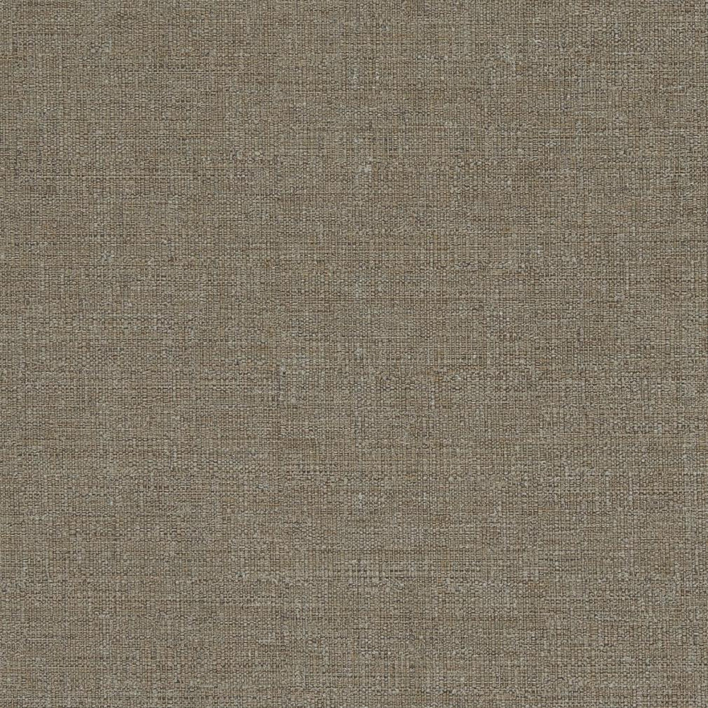 D836 Bark by Charlotte Fabric Contemporary Wovens II 100% Woven Polyester Asia Exceeds 54,000 Wyzenbeek Rubs (Heavy Duty) No Repeat 54 Inches - Fabric Carolina -