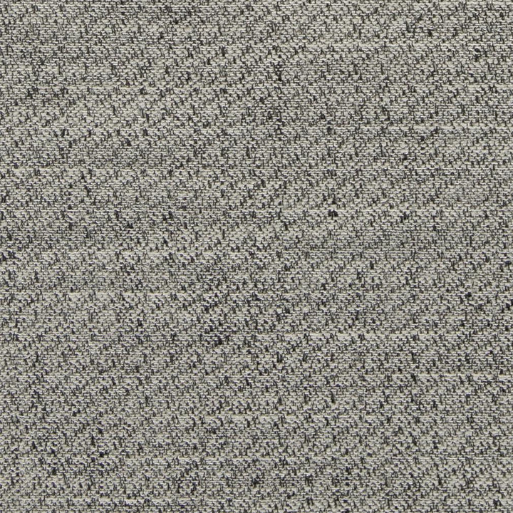 D847 Pepper by Charlotte Fabric Contemporary Wovens II 100% Woven Polyester Asia Exceeds 42,000 Wyzenbeek Rubs (Heavy Duty) No Repeat 54 Inches - Fabric Carolina -