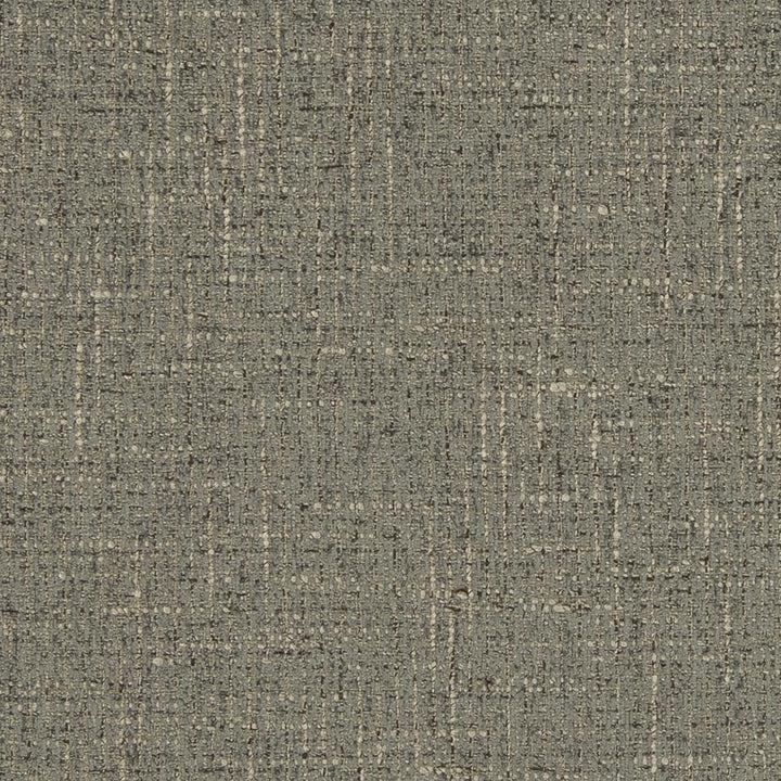 D850 Pebble by Charlotte Fabric Contemporary Wovens II 100% Woven Polyester Asia Exceeds 100,000 Wyzenbeek Rubs (Heavy Duty) No Repeat 54 Inches - Fabric Carolina -
