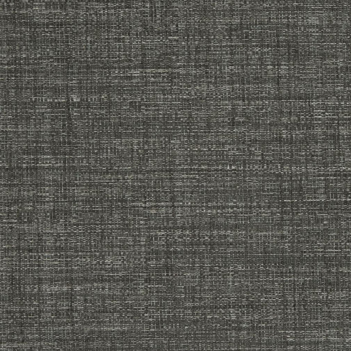 D853 Hale by Charlotte Fabric Contemporary Wovens II 100% Woven Polyester Asia Exceeds 64,000 Wyzenbeek Rubs (Heavy Duty) No Repeat 54 Inches - Fabric Carolina -