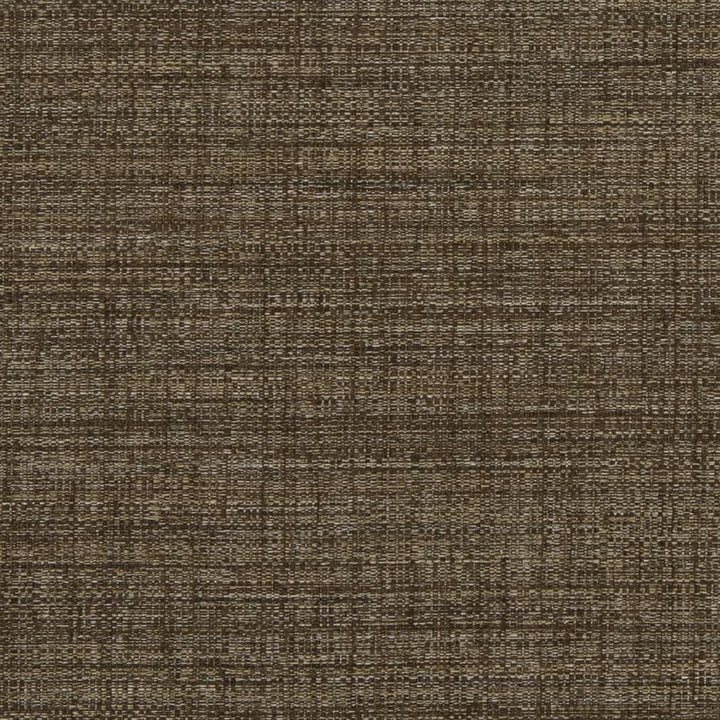 D855 Espresso by Charlotte Fabric Contemporary Wovens II 100% Woven Polyester Asia Exceeds 64,000 Wyzenbeek Rubs (Heavy Duty) No Repeat 54 Inches - Fabric Carolina -