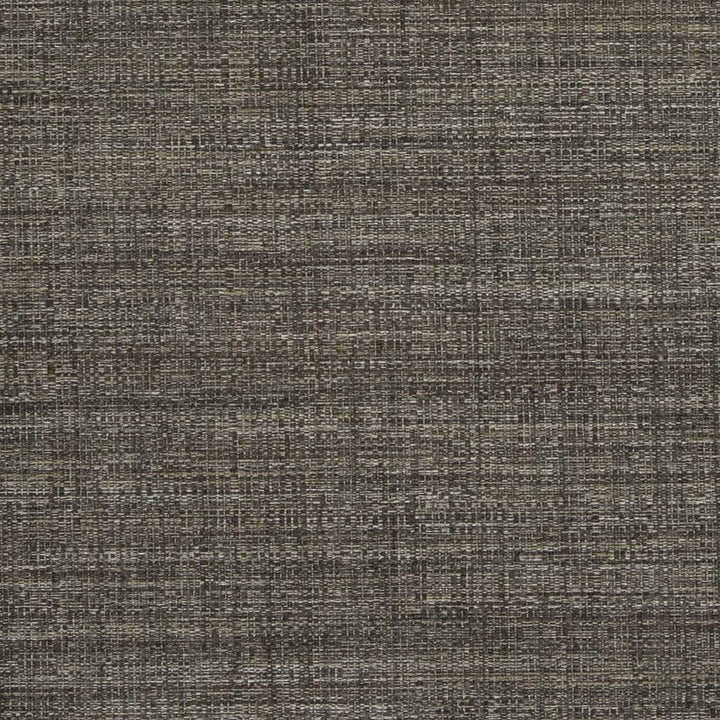 D858 Cliff by Charlotte Fabric Contemporary Wovens II 100% Woven Polyester Asia Exceeds 64,000 Wyzenbeek Rubs (Heavy Duty) No Repeat 54 Inches - Fabric Carolina -