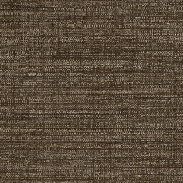 D859 Harvest by Charlotte Fabric Contemporary Wovens II 100% Woven Polyester Asia Exceeds 64,000 Wyzenbeek Rubs (Heavy Duty) No Repeat 54 Inches - Fabric Carolina -