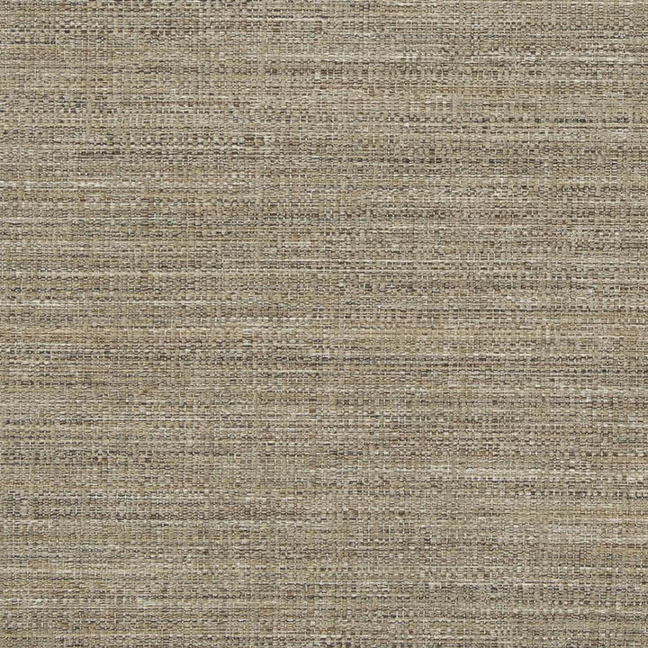 D860 Dune by Charlotte Designer Fabric Contemporary Wovens II 100% Woven Polyester Asia Exceeds 64,000 Wyzenbeek Rubs (Heavy Duty) No Repeat 54 Inches - Swanky Fabrics -