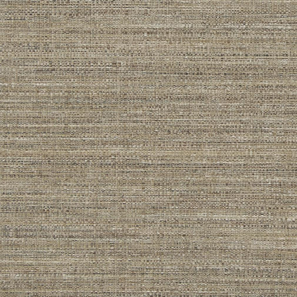 D860 Dune by Charlotte Designer Fabric Contemporary Wovens II 100% Woven Polyester Asia Exceeds 64,000 Wyzenbeek Rubs (Heavy Duty) No Repeat 54 Inches - Swanky Fabrics -