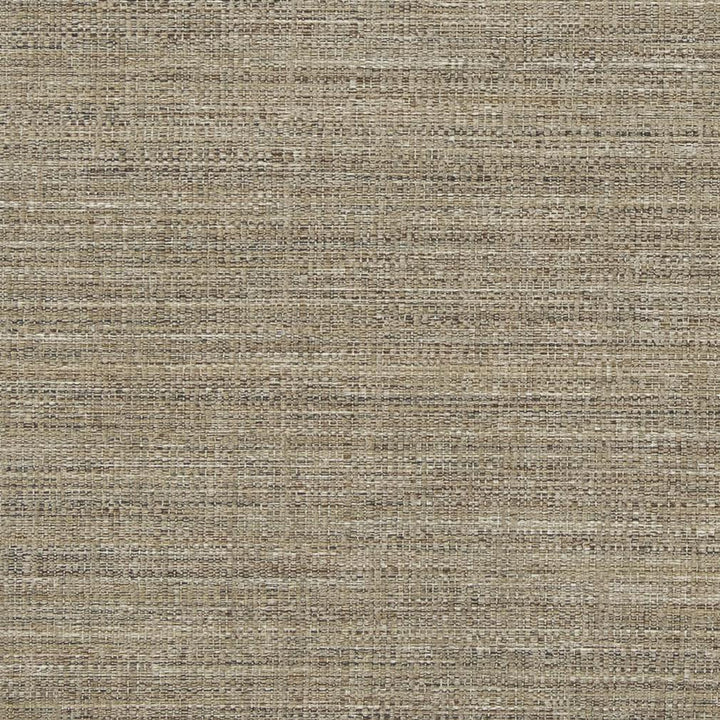 D860 Dune by Charlotte Fabric Contemporary Wovens II 100% Woven Polyester Asia Exceeds 64,000 Wyzenbeek Rubs (Heavy Duty) </p><p>Repeat: 54 Inches - Fabric Carolina -