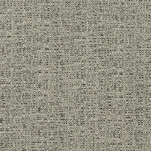 D867 Ash by Charlotte Fabric