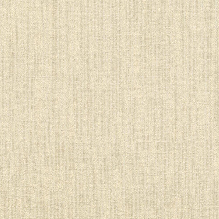 D868 Cream by Charlotte Fabric Contemporary Wovens II 100% Woven Polyester Asia Exceeds 35,000 Wyzenbeek Rubs (Heavy Duty) </p><p>Repeat: No Repeat 54 Inches - Fabric Carolina -
