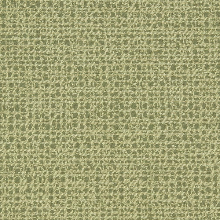 D885 Crosshatch/Sage by Charlotte Fabric Durables III 100% Woven Polyester Made In USA Exceeds 100,000 Wyzenbeek Rubs (Heavy Duty) </p><p>Repeat: 54 Inches - Fabric Carolina -
