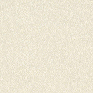 D895 Pebble/Buff by Charlotte Fabric