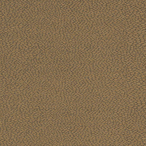 D896 Pebble/Mocha by Charlotte Fabric