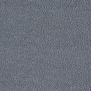 D897 Pebble/Navy by Charlotte Fabric